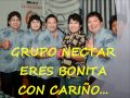 GRUPO NECTAR ERES BONITA 