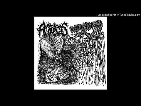 Amoebosis / Cystoblastosis - Split