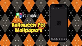 PG EN 壁纸 251024 万圣宠物壁纸 视频 16：9