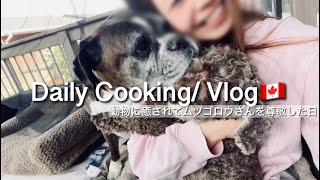 【カナダ暮らしと家庭料理🇨🇦】フラットなバナナブレッド焼いてみた！友達が作ったご飯食べて、血圧測ったら正常だった日/そっちゃん家出😮‍💨