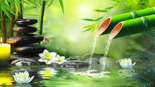 Música relajante + Sonidos de agua de bambú🌿Alivio del estrés, alivio del insomnio,calma la ansiedad