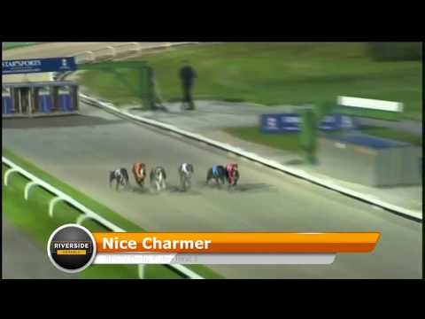 Nice Charmer - RPGTV Derby Plate Semi Final