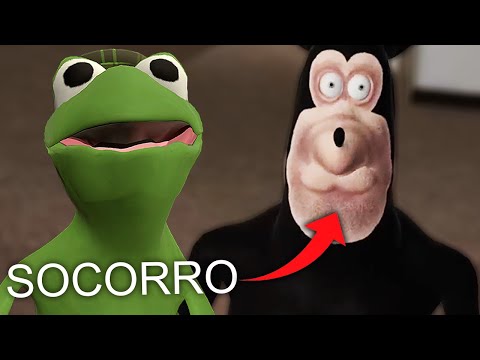 VISITEI UMA VELHA LOUCA