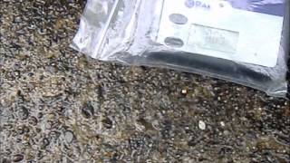 4-20-2012  Yokosuka city cleans up radiation around my house full video