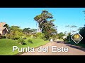4K DRIVE Punta del Este URUGUAY 4k video Houses & Gardens