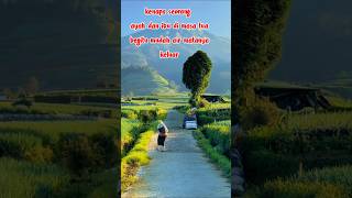 Download lagu father and mother #recitation #reflection #motivation #good words #prayer #silence #sad #parents ... mp3