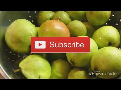 download lagu mp3 mp4 How To Make Pear Juice, download lagu How To Make Pear Juice gratis, unduh video klip How To Make Pear Juice