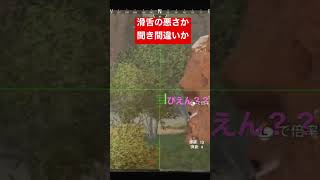 【Apex】滑舌の悪さか聞き間違いか…#apex