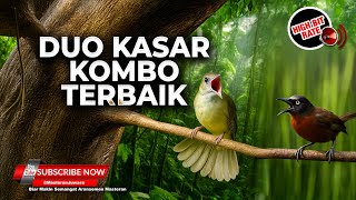 Download lagu 🔴 Duo Kasar Combo Masteran Roll Kasar Kapas Tembak Gacor Panjang vs Tepus Kepala Abu Abu mp3