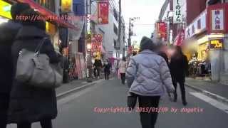 preview picture of video 'Japan Trip 2015 Tokyo  Walking on Sugamo 04 Togenuki Jizo-dori Shopping Street'