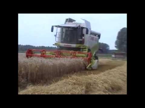 Van Ryckeghem W.: Maaidorsen.