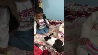 Download lagu Dimple queen prisha #commando Mitansh # #shortvideo #trending mp3