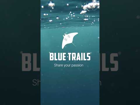 Blue Trails