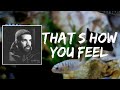 Thats How You Feel Lyrics By Drake