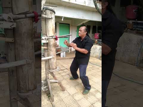 My Original Wing Chun Training Combination #19
