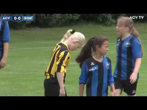 Samenvatting ACV-GOMOS