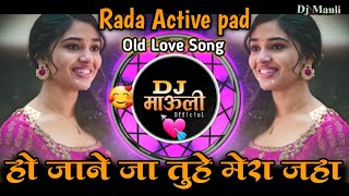 Download lagu O Jane Ja Tu Hai Mera Jahan | Rada Active pad Mix |  हो जाने जा | Old Trending Mix | Dj Mauli mp3