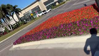 Brief 2026 Part 2 Tour of Cattlemen Road at University Town Center - Sarasota FL