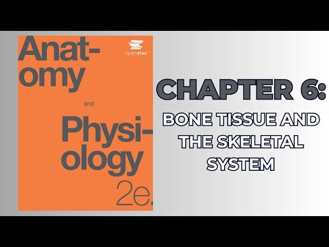 OpenStax Anatomy and Physiology 2e (Audiobook) - Chapter 6: Bone Tissue and the Skeletal System