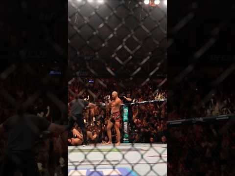 Alex Pereira Gets His Revenge on Ankalaev 😤 Brutal 1st Round Finish! #ufc #shorts