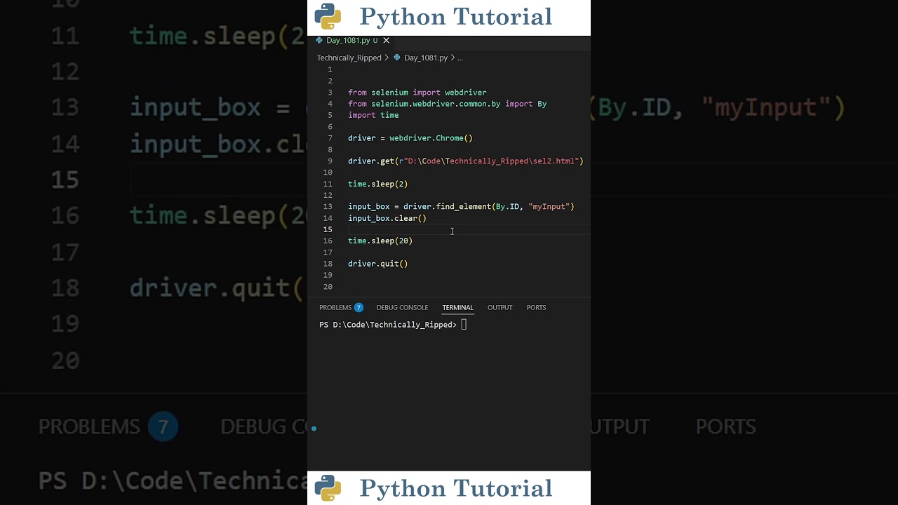 Clear Input Fields in Selenium Fast | Python Tutorial