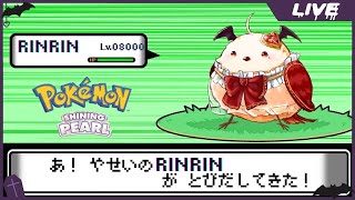 [Vtub] 實況 冬華凜 寶可夢明亮珍珠 #4