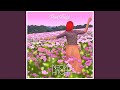 Pink Fields (feat. Chris Tunes) (Special Version)