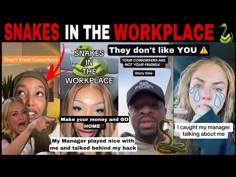 MERCY! 😱 YOUR COWORKERS ARE NOT YOUR FRIENDS: BACKSTABBING & BETRAYAL IN THE WORKPLACE |TIK TOK COMP