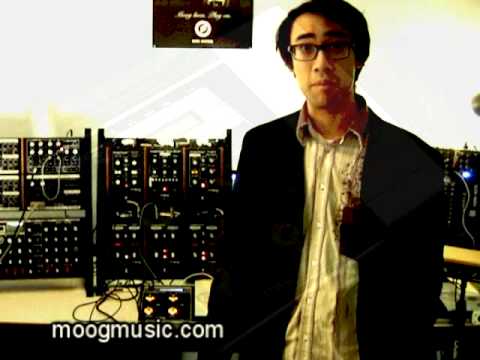 Moog - DJ/VJ Mike Relm meets the MP-201 Multi-Pedal