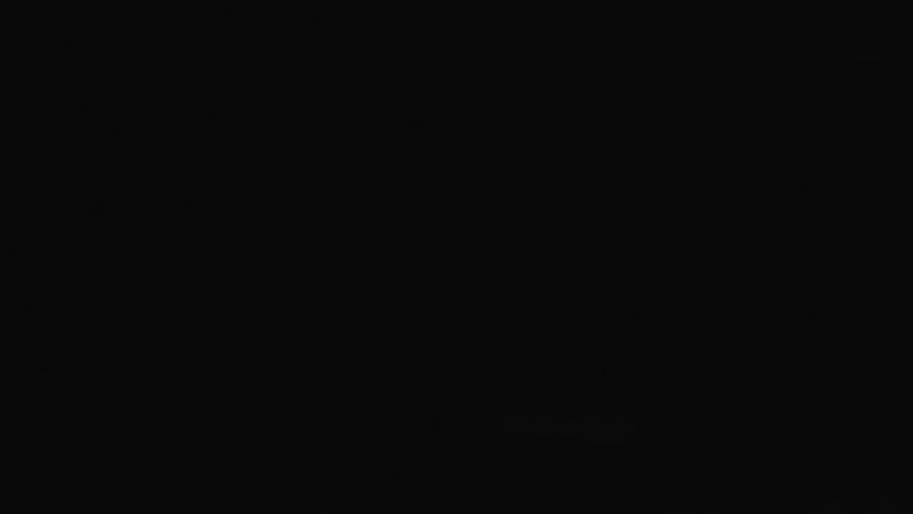 הפנאלסטים שידור חי