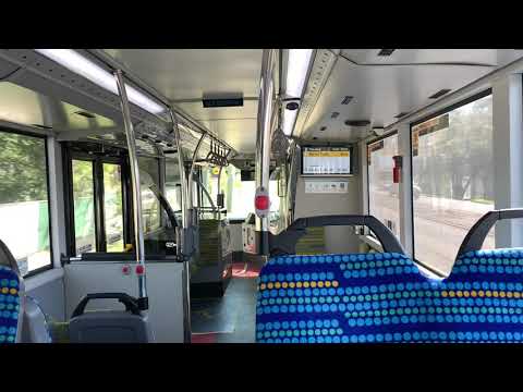 STA Sydney 2859 ST - MAN ND323F (ZF EcoLife Kickdown)