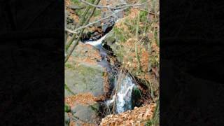preview picture of video 'Der Lonauer Wasserfall in Herzberg am Harz - la Esperanto-urbo'