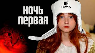 Я взяла кошку из приюта и вот что произошло дальше.. 😨