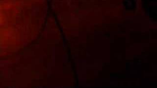 MANS RUIN &quot;Film NoiR&quot;