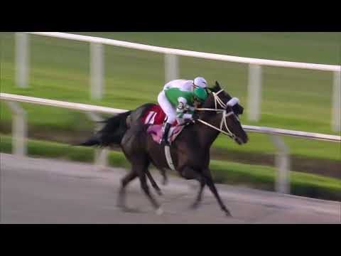 230318 c09 NOE MASFEA