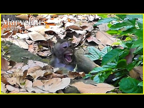 P!tyy...! Orphanedd Jonna f/rustratedd​ n/o has privilege continue accompany, Cuz Sami d/enyy