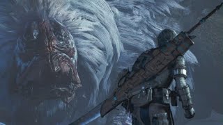 【ドシャグマ[？？？]の討伐】おぎちょんの「モンスターハンターワイルズ」 #11