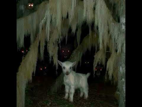 Mc Bushpig - Eat My Rotten Meat (Instrumental) 