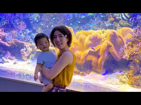 こども学科 【特別編】"響"1歳の誕生日記念（親バカ動画ですのでご了承ください）サン=サーンス作曲『動物の謝肉祭』の中からいくつかBGMにしています。