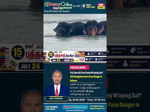 Two Wild Elephants Enjoy a Lake Bath Near Hosur! 🐘