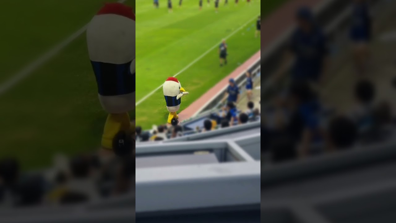 K리그 축구팀 마스코트의 팬 서비스✨