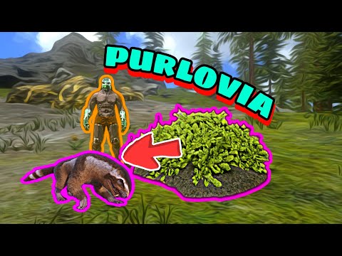 Purlovia: How to tame it correctly / 2 uses and 1 mini-game in Ark Mobile