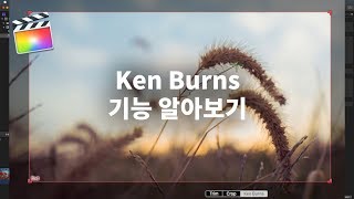 [파이널컷X] 줌인 줌아웃 효과를 조금더 쉽게 하는 'ken burns' 기능