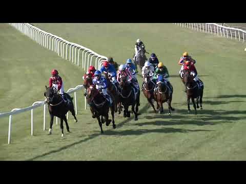 2021.10.31. 02. futam - KÖNIG RÓBERT EMLÉKVERSENY - KEZDŐ LOVAK VERSENYE (IV.kat.)