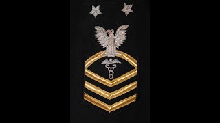 Navy Rating Badges