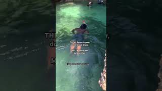 Kenya is a PARADISE! | Diani Beach | Travel