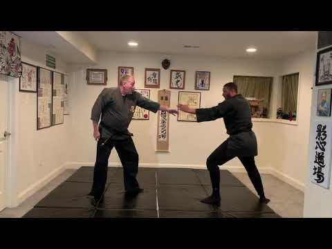 Tanto Jutsu Video