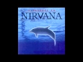 Various Artists - A Tribute to Nirvana [Full Album ...