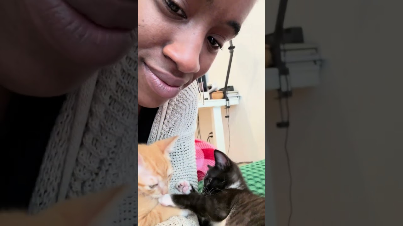 Lilippe & Maurice, an adopted mixed breed in Hyattsville, MD video 2/6