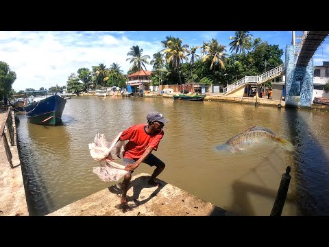 UNBELIEVABLE  CAST NET FISHING AND CATCHING BIG FISH I MOST SATISFYING CAST NET FISHING VIDEO